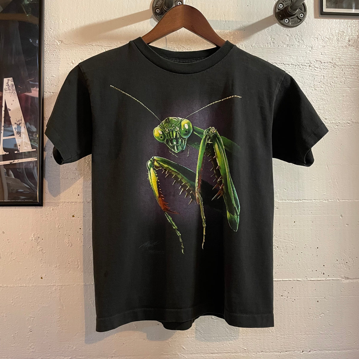 Vintage 90's Butterfly Pavilion Praying Mantis Big Graphic Single Stitch T-Shirt - Size Youth Large - Made In USA