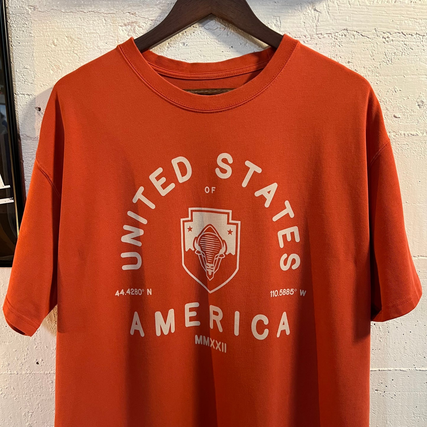 Nike ACG 'All Conditions Gear' U.S.A. Bison Heavy Cotton Loose Fit T-Shirt - Size XL - Brick Red
