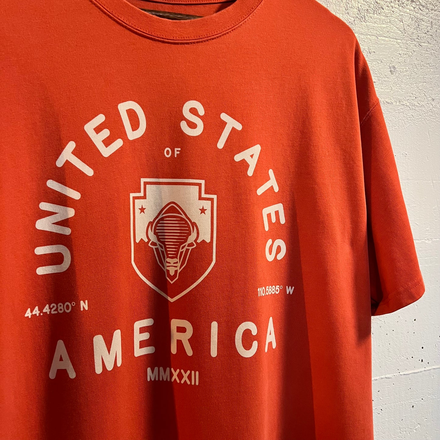 Nike ACG 'All Conditions Gear' U.S.A. Bison Heavy Cotton Loose Fit T-Shirt - Size XL - Brick Red