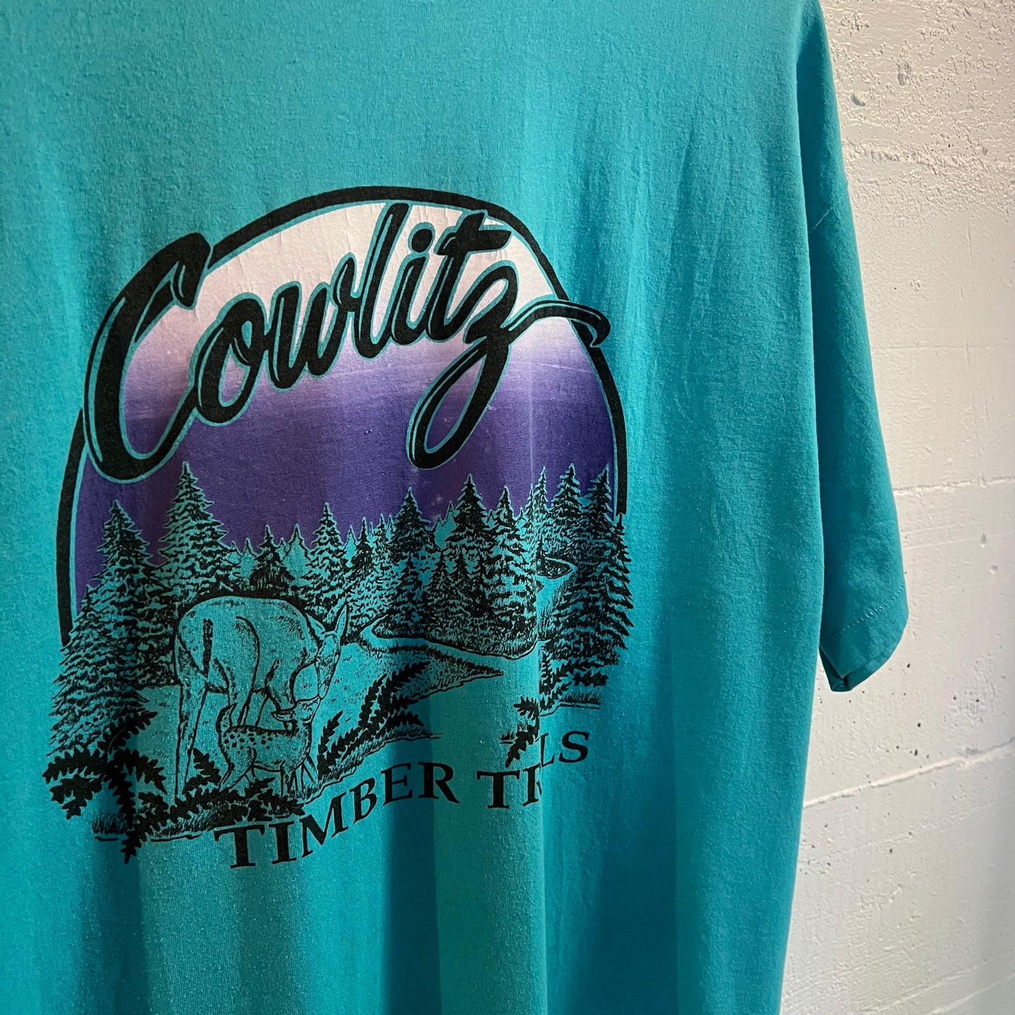 Vintage Cowlitz Timber Trails Nature Single Stitch T-Shirt - Size XL - Made In USA - Turquoise