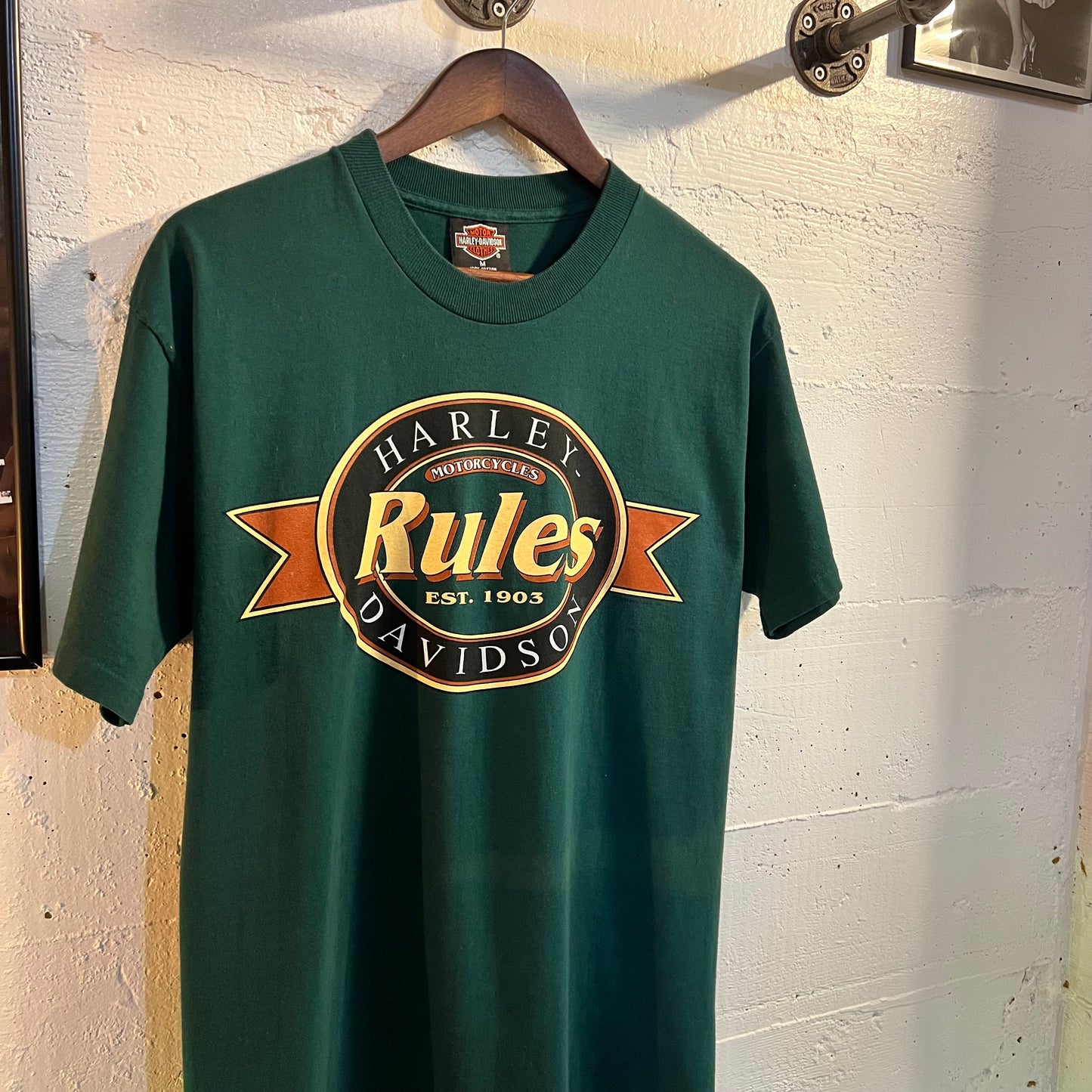 Vintage 90's Harley Davidson Motorcycles 'Harley Rules' - Size M - Made In USA - Emerald Green
