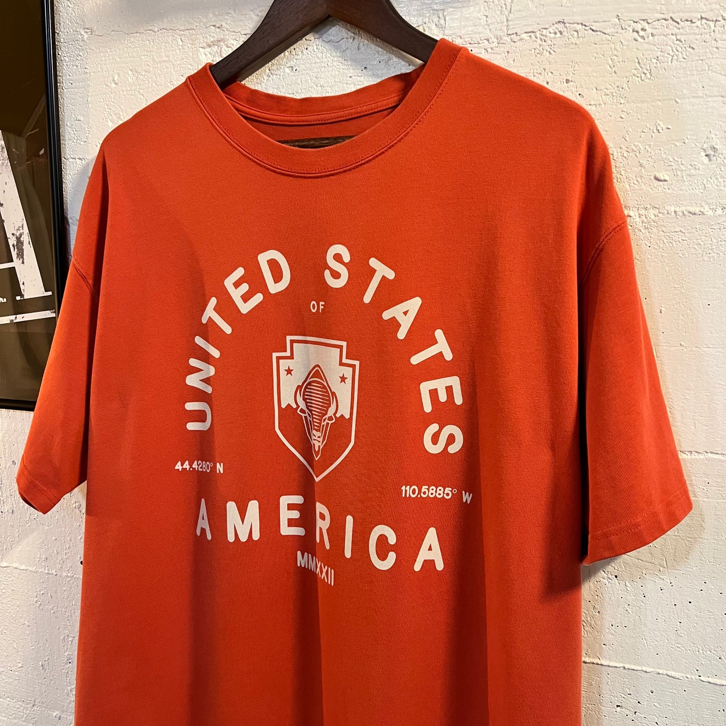 Nike ACG 'All Conditions Gear' U.S.A. Bison Heavy Cotton Loose Fit T-Shirt - Size XL - Brick Red
