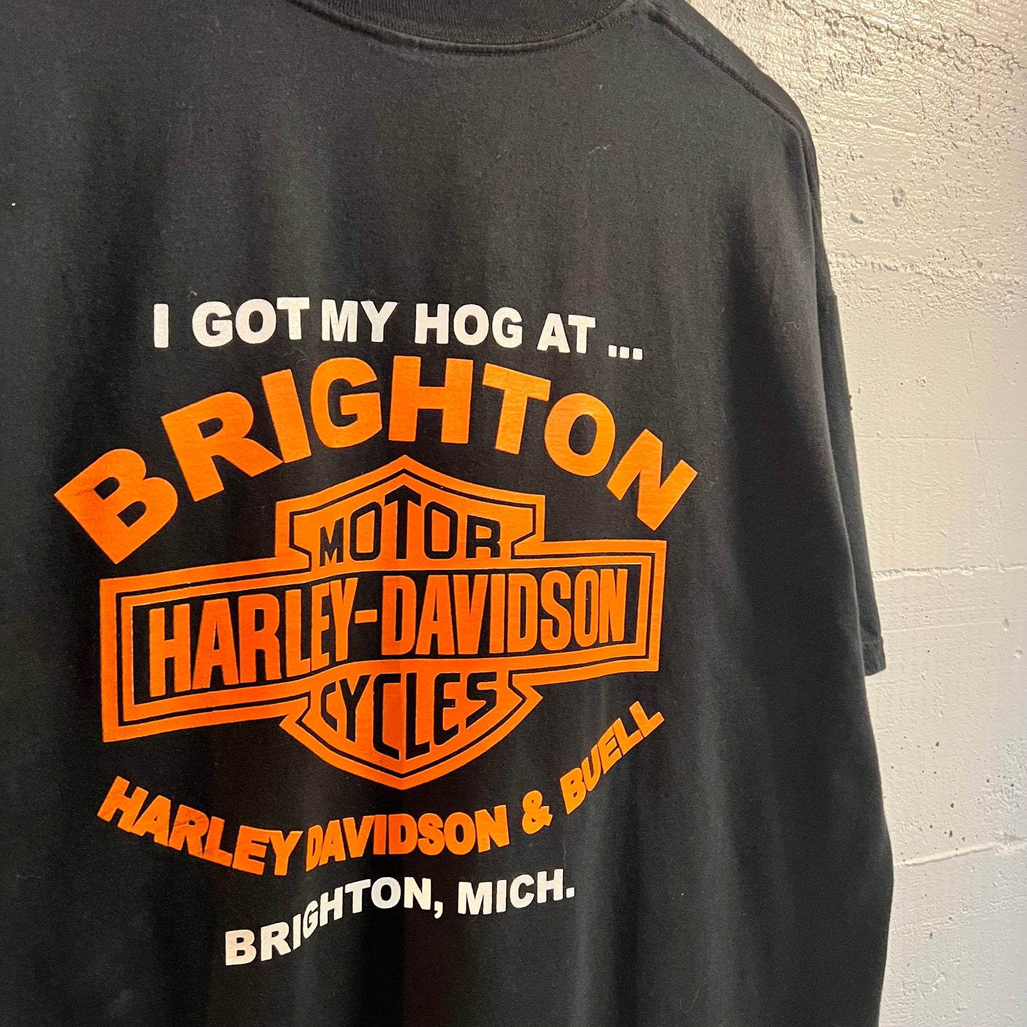 Vintage 90's Harley Davidson Brighton, Michigan Classic Logo T-Shirt - Size Large - Black/Multicolor