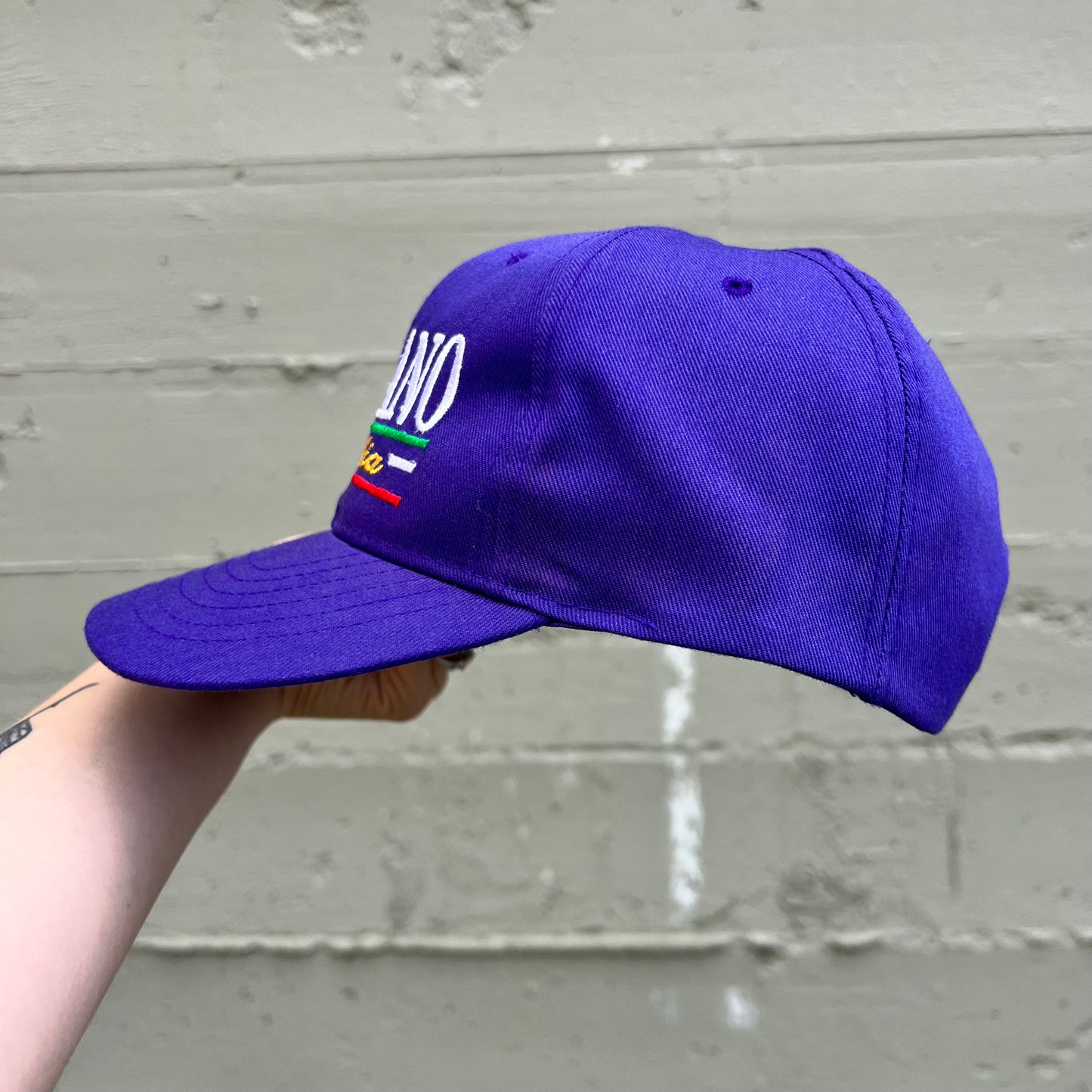 Vintage Embroidered Milano, Italia Snap Back Hat - One Size Fits All - Purple/Multi