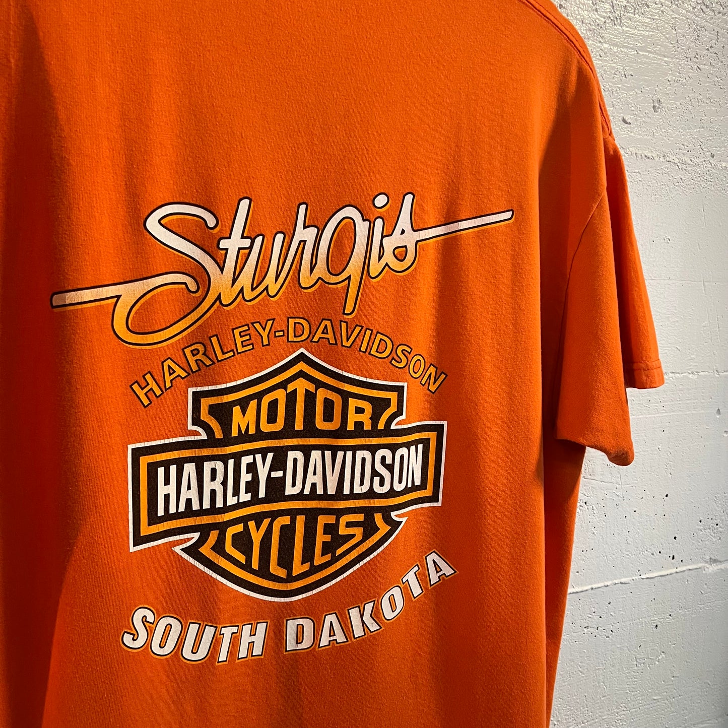 Vintage Y2K Harley Davidson Sturgis SD T-Shirt - Size Large - Made In USA - Blaze Orange