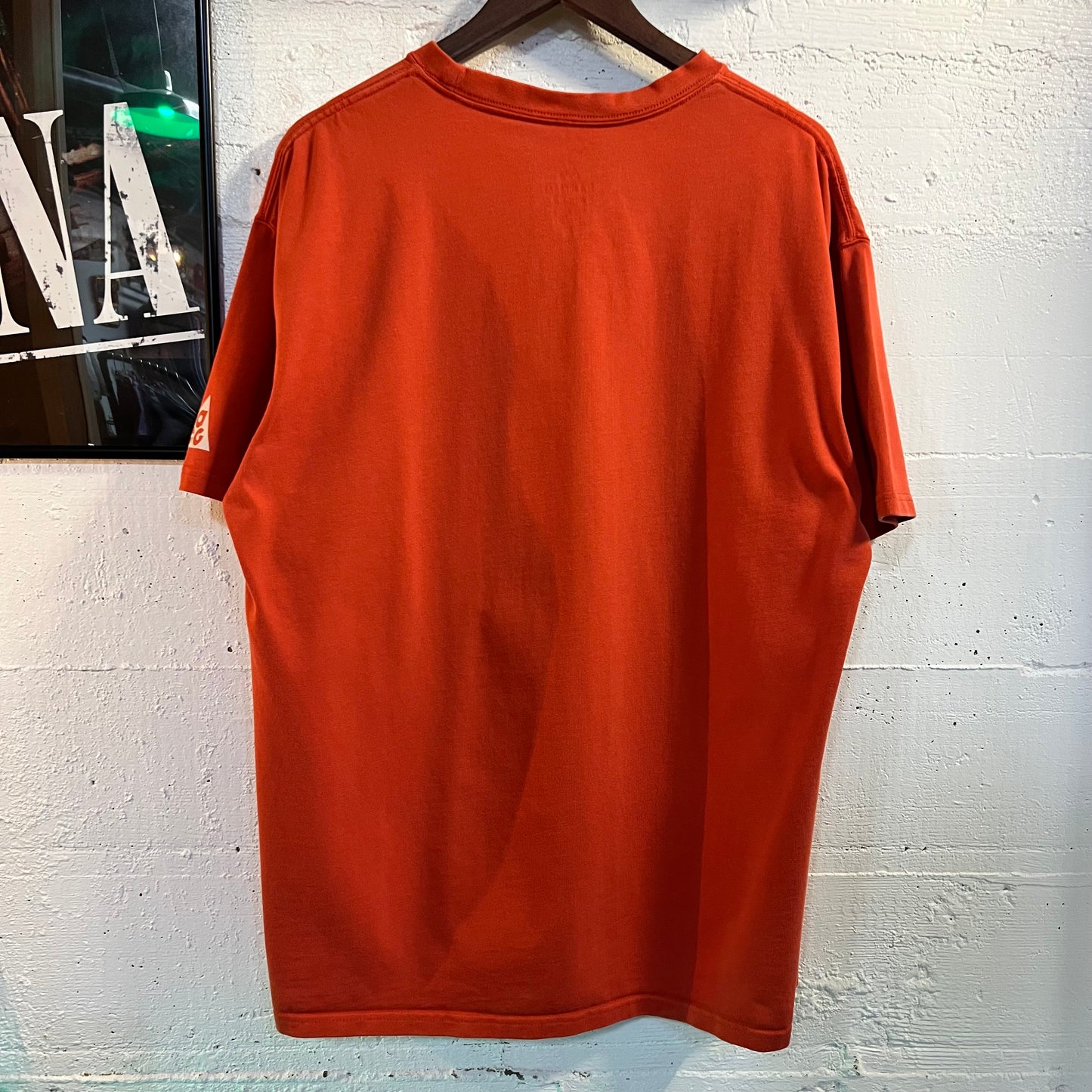 Nike ACG 'All Conditions Gear' U.S.A. Bison Heavy Cotton Loose Fit T-Shirt - Size XL - Brick Red