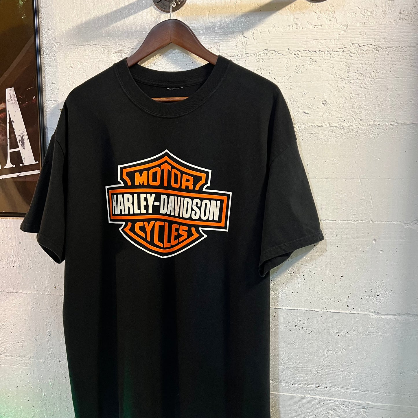 Vintage 90's Harley Davidson Brighton, Michigan Classic Logo T-Shirt - Size Large - Black/Multicolor