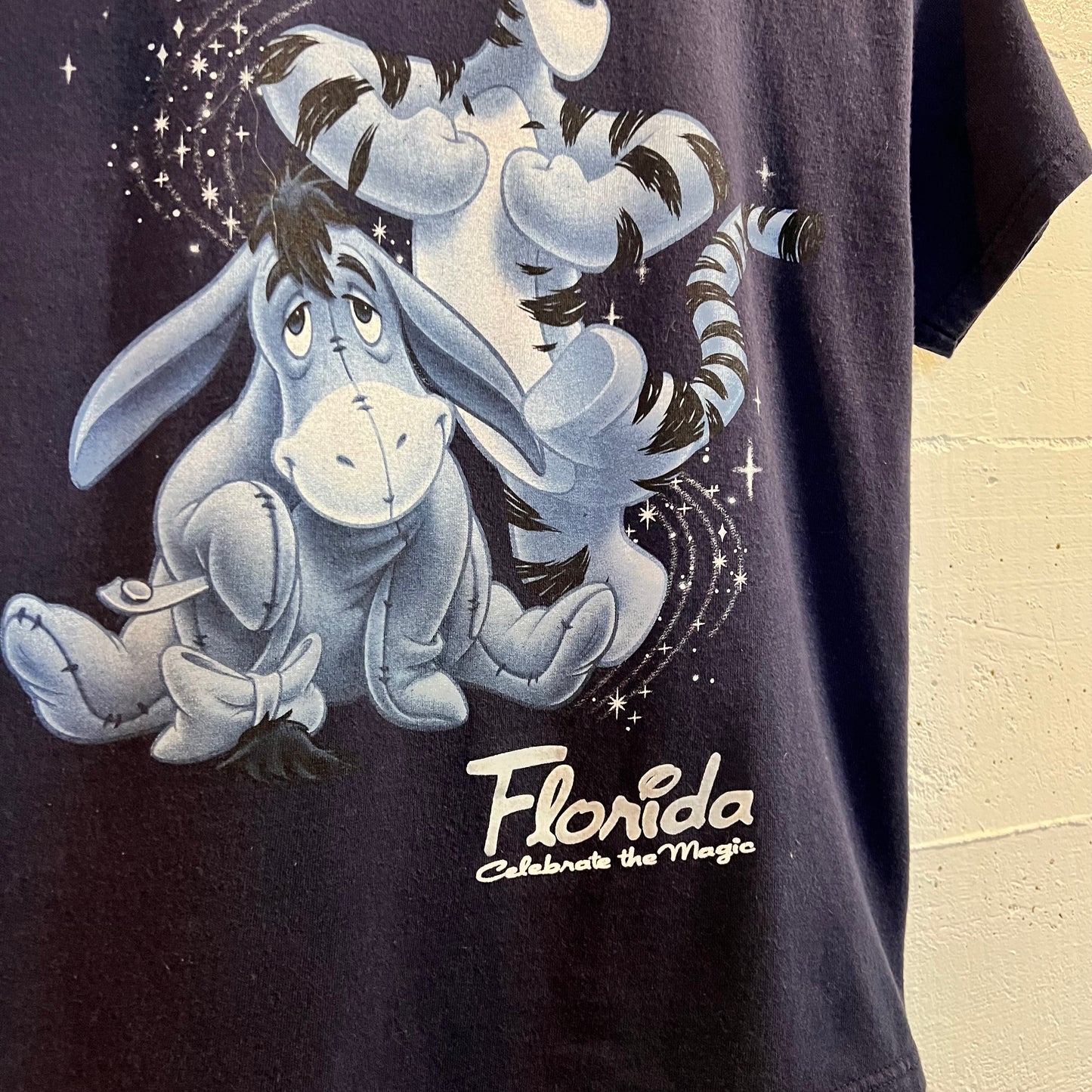 Vintage Disney Florida ‘Celebrate The Magic’ Baby T-Shirt - Size Youth Large - Navy/Blue
