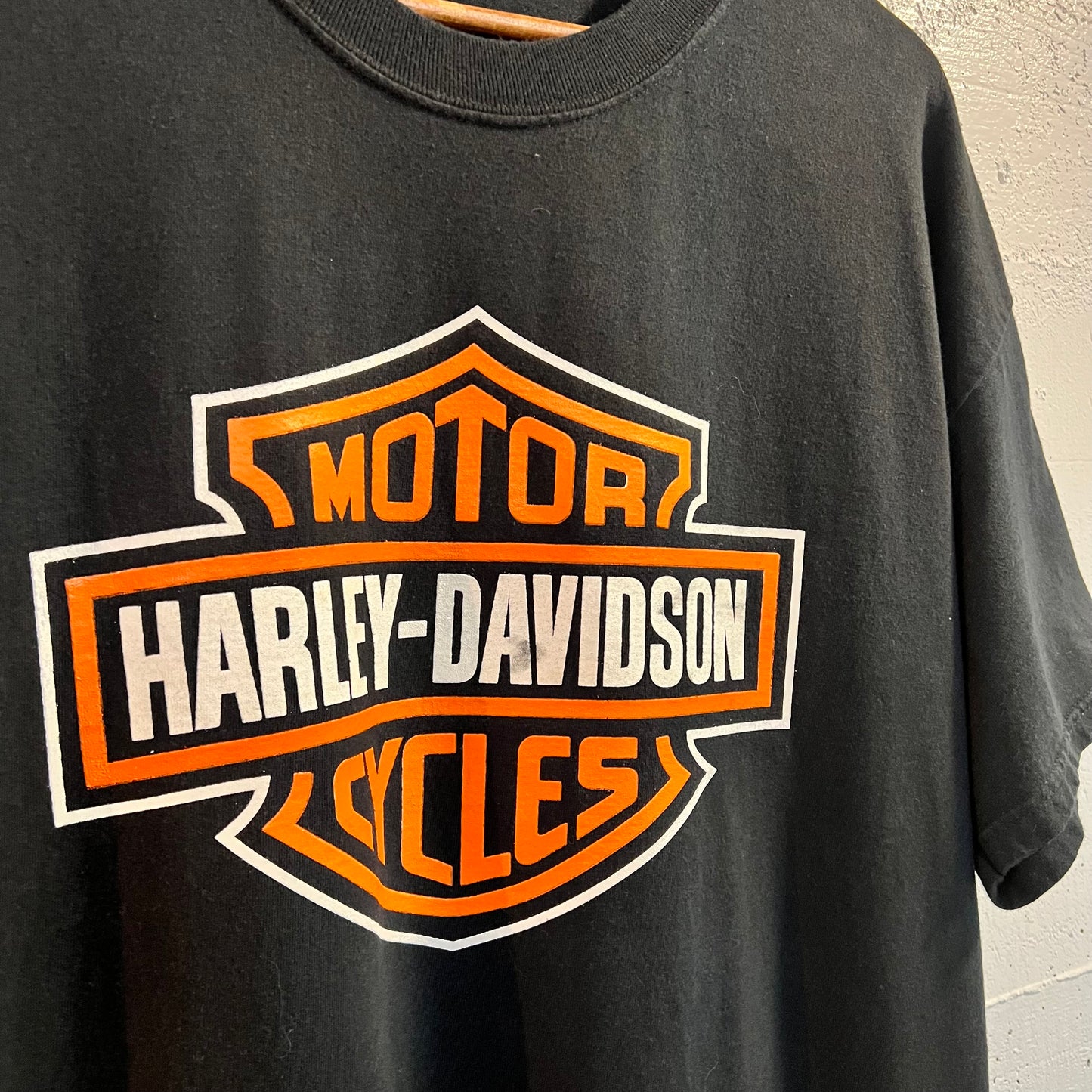 Vintage 90's Harley Davidson Brighton, Michigan Classic Logo T-Shirt - Size Large - Black/Multicolor