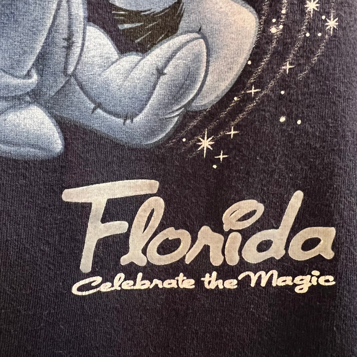 Vintage Disney Florida ‘Celebrate The Magic’ Baby T-Shirt - Size Youth Large - Navy/Blue