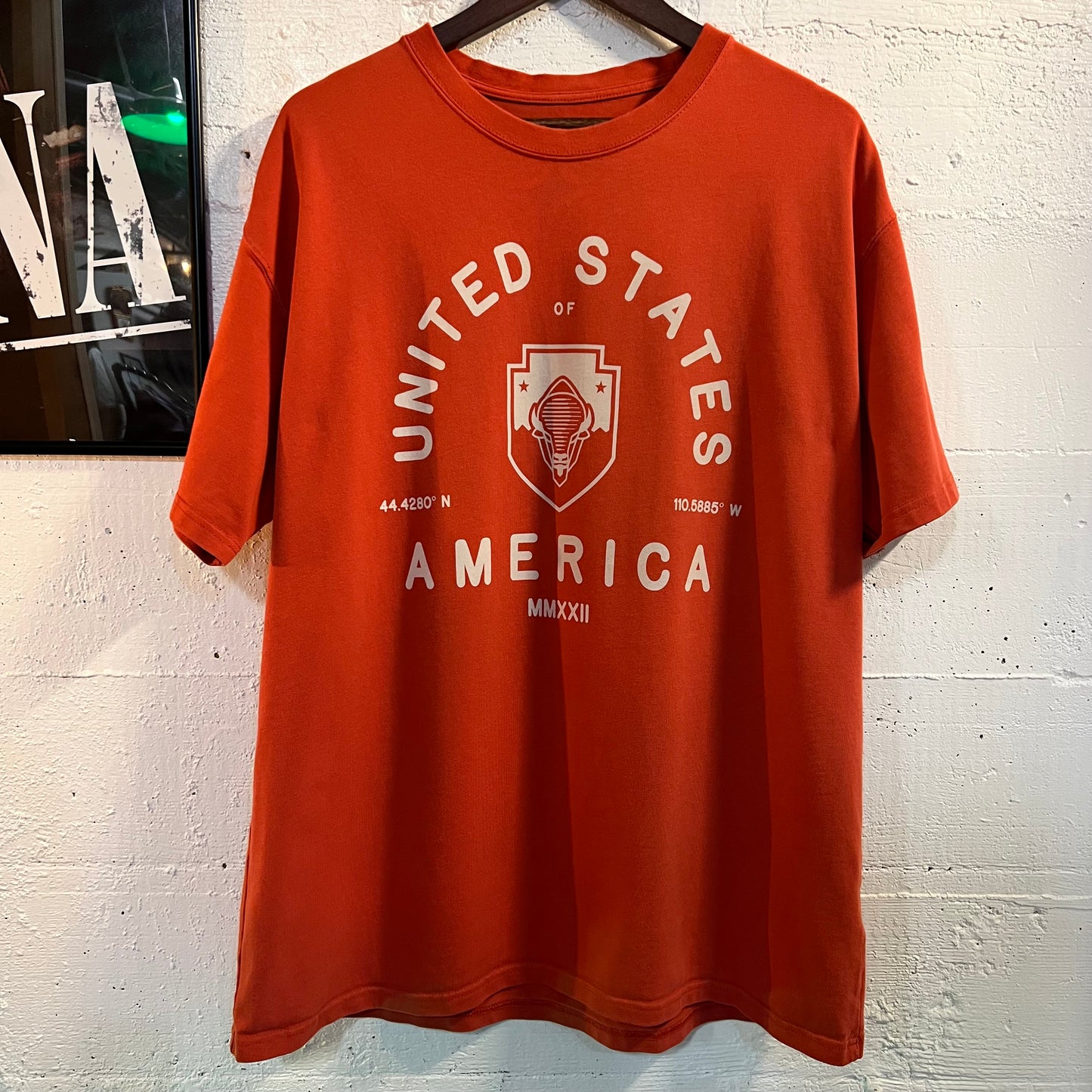 Nike ACG 'All Conditions Gear' U.S.A. Bison Heavy Cotton Loose Fit T-Shirt - Size XL - Brick Red