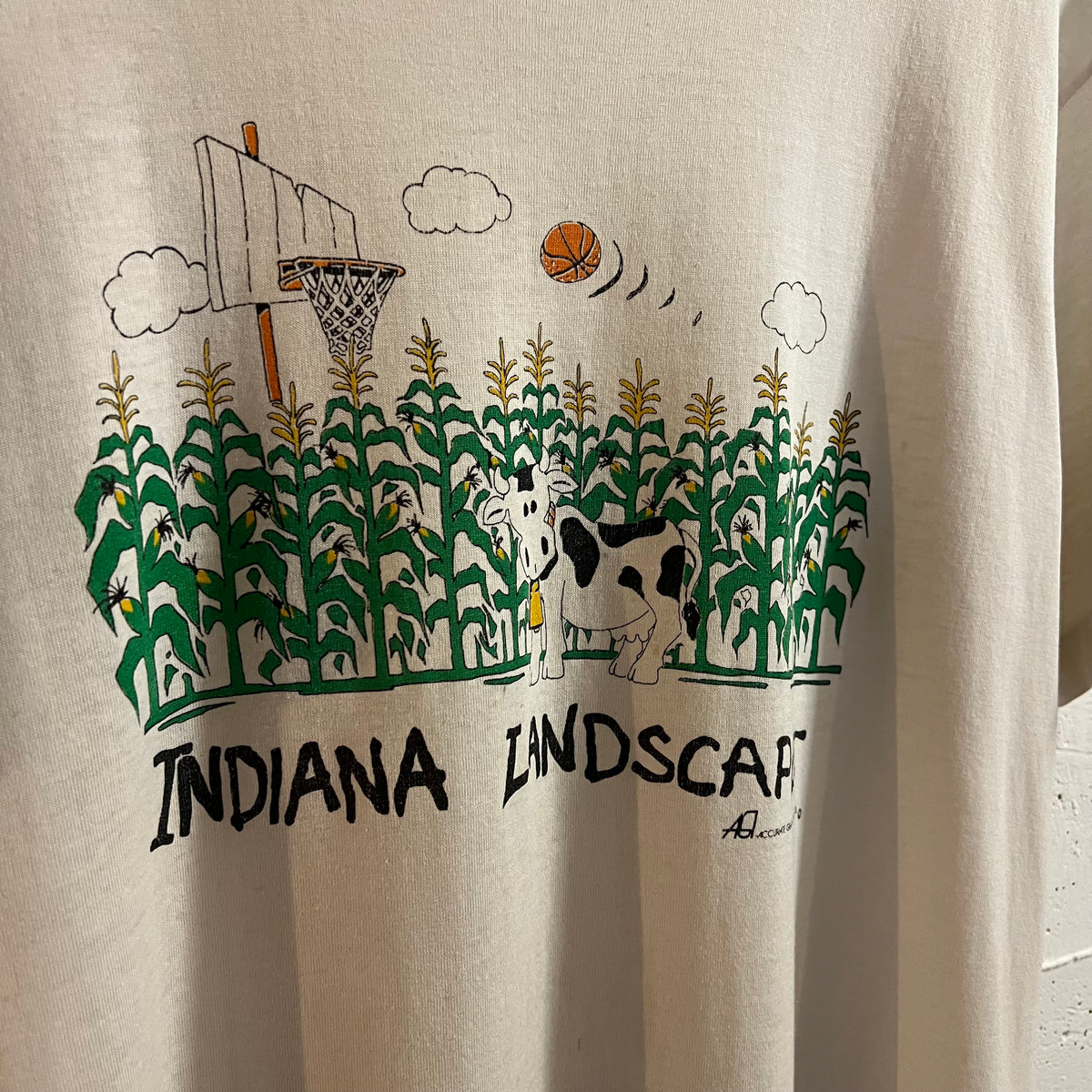 Vintage 90’s Distressed Indiana Landscape Single Stitch Graphic T-Shirt - Size Large - Made In USA - White/Multi
