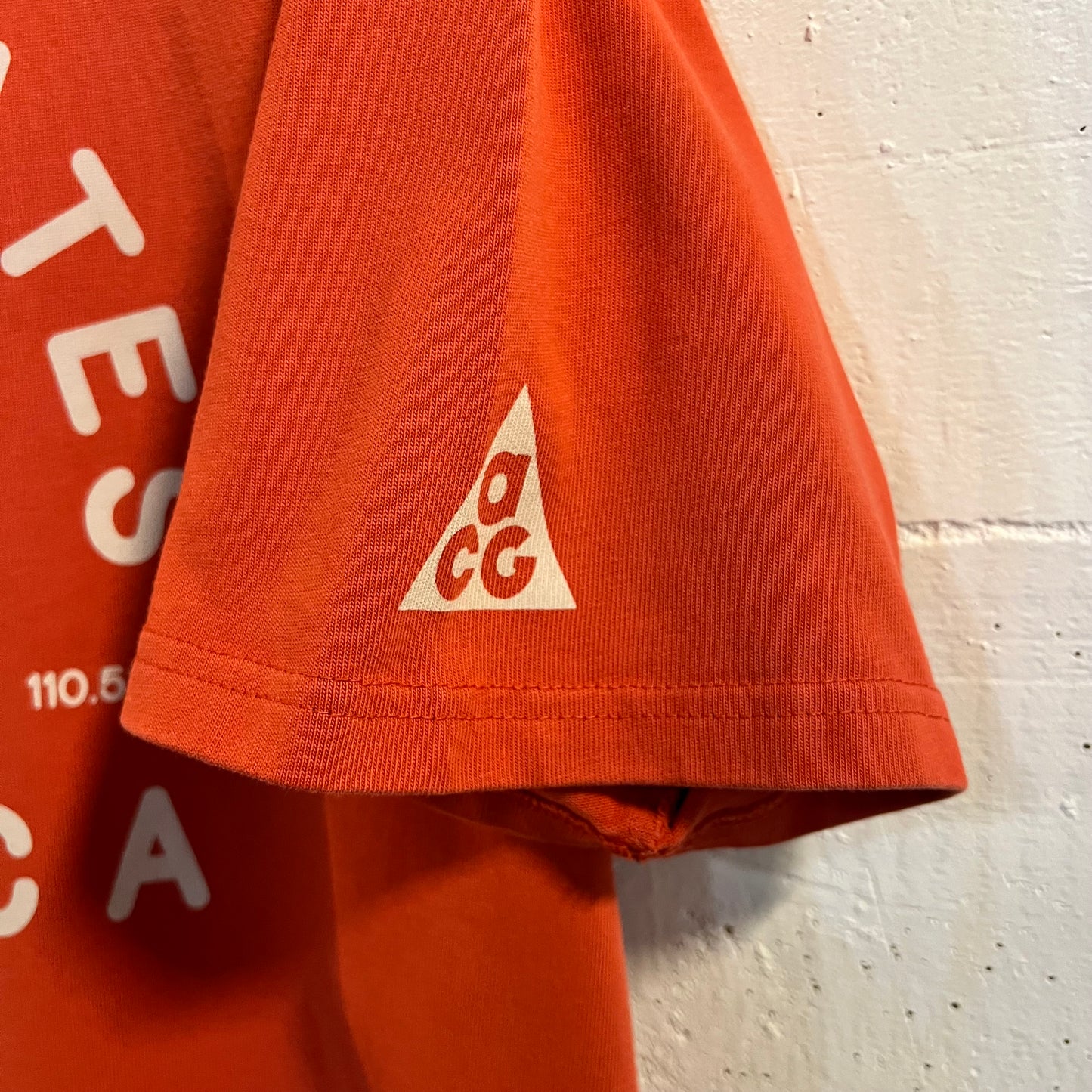 Nike ACG 'All Conditions Gear' U.S.A. Bison Heavy Cotton Loose Fit T-Shirt - Size XL - Brick Red