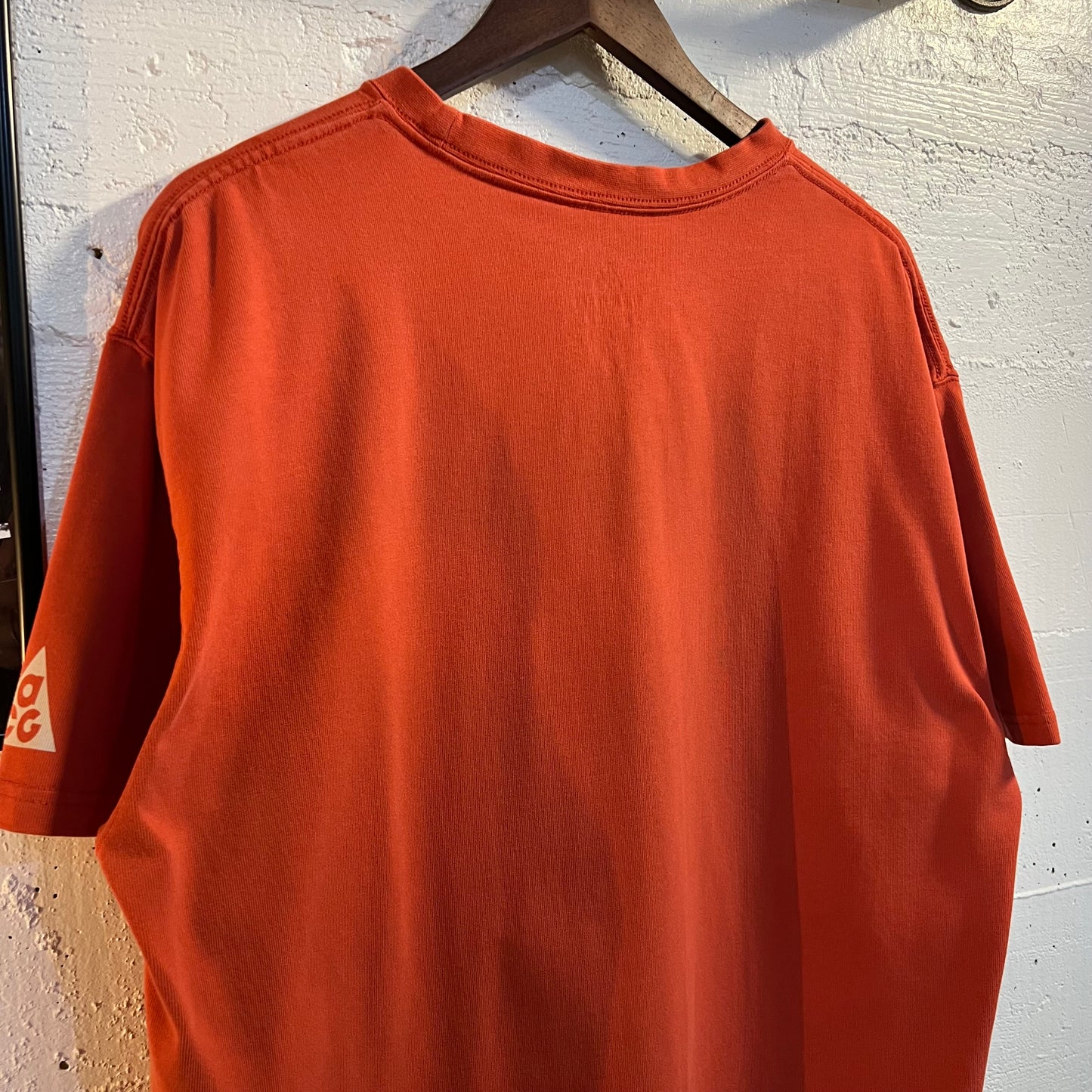 Nike ACG 'All Conditions Gear' U.S.A. Bison Heavy Cotton Loose Fit T-Shirt - Size XL - Brick Red