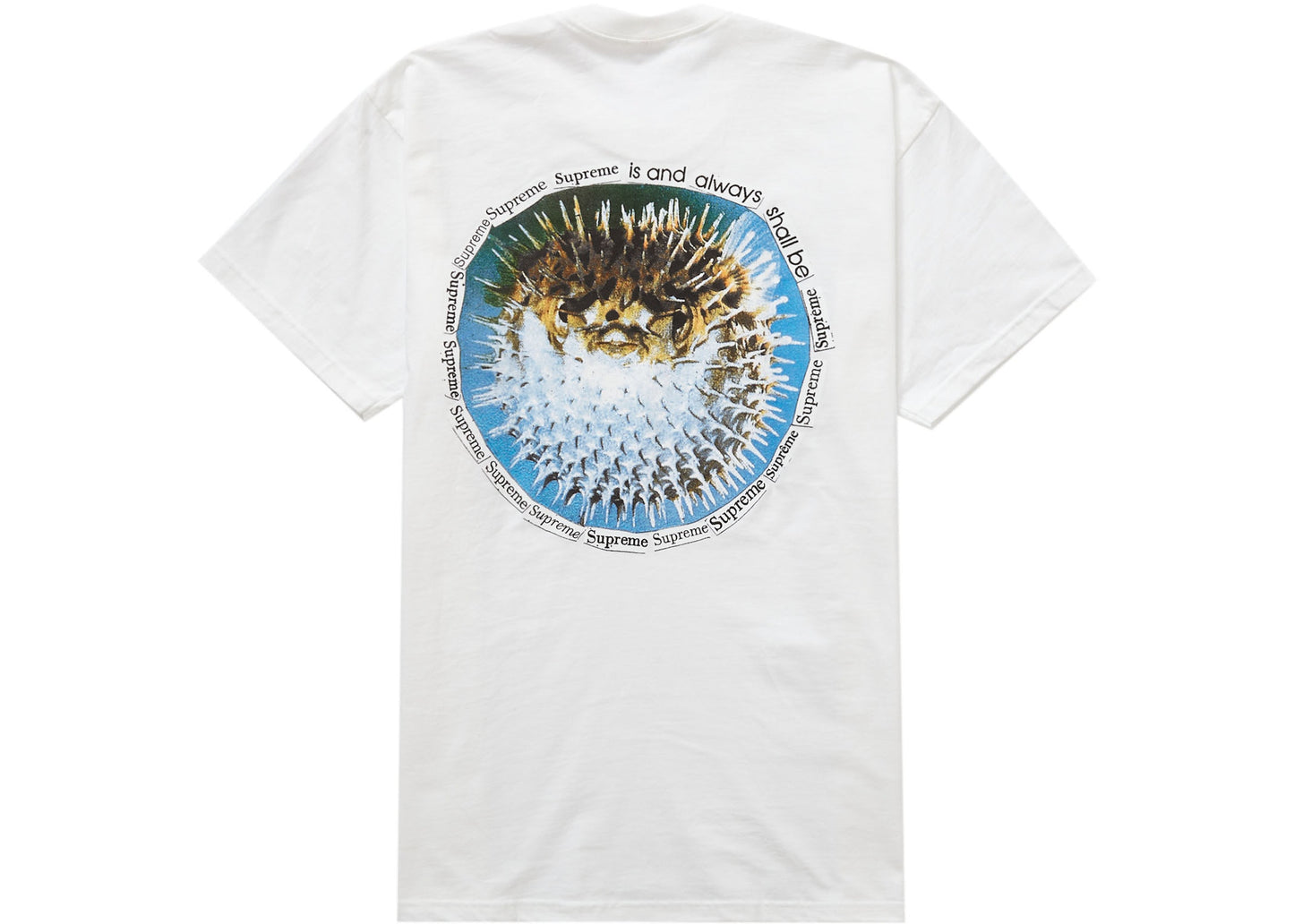 *New* Supreme Blowfish T-Shirt - Size XL - SS23