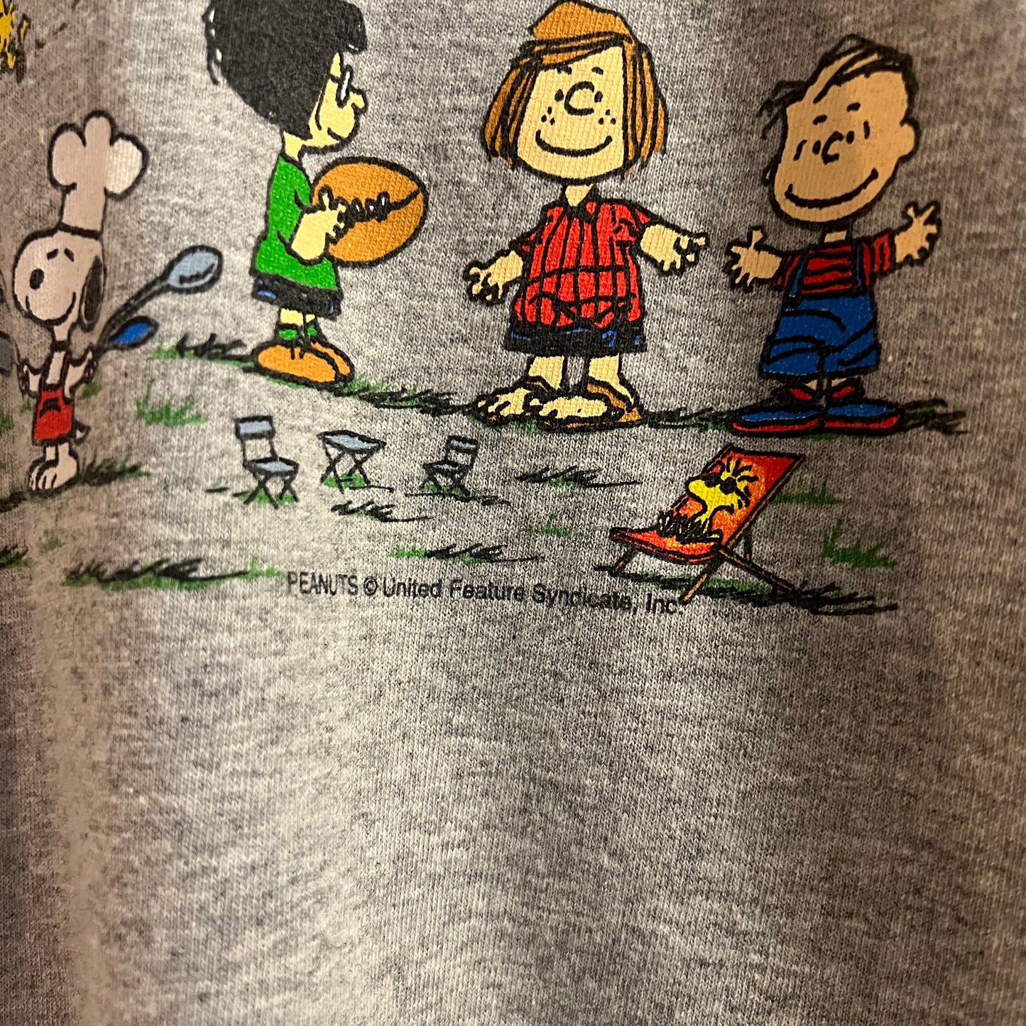 Vintage 2000’s Peanuts ‘Summer Picnic’ Graphic T-Shirt - Size XL - Heather Grey/Multi