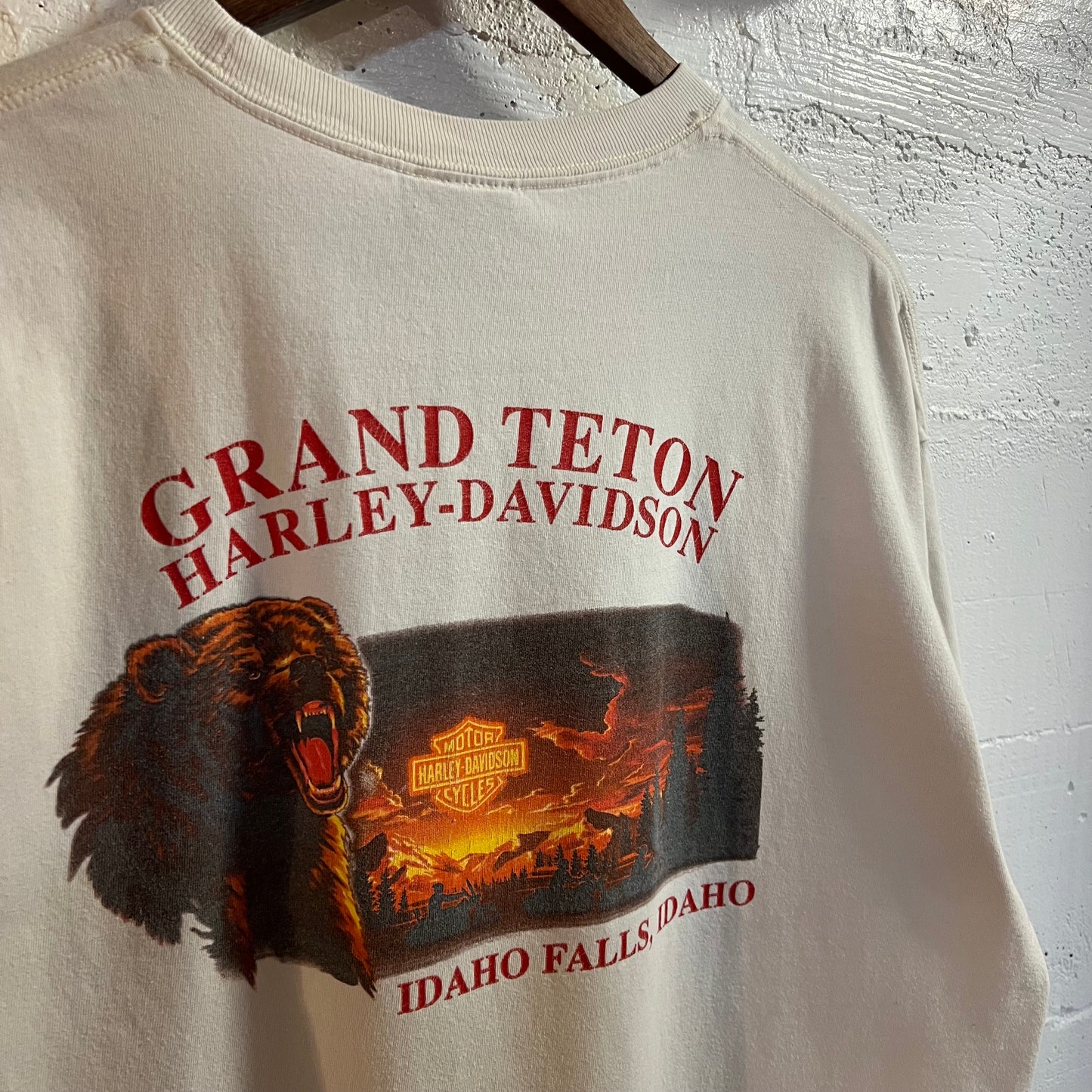 Vintage 2005 Harley Davidson 'Grand Teton' Idaho Falls, Idaho Graphic T-Shirt - Size XL - Made In USA - White