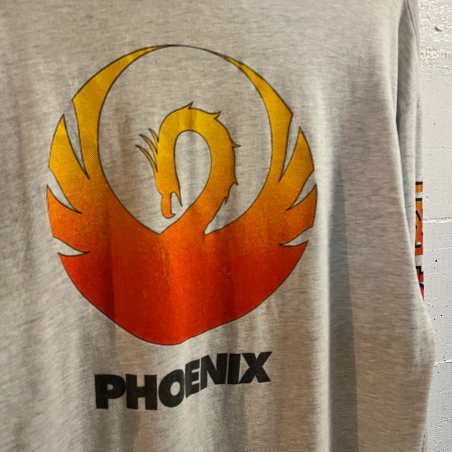 Vintage 90's Dell Computers 'Phoenix' Long Sleeve Single Stitch Graphic T-Shirt - Size XL - Ash Heather Gray