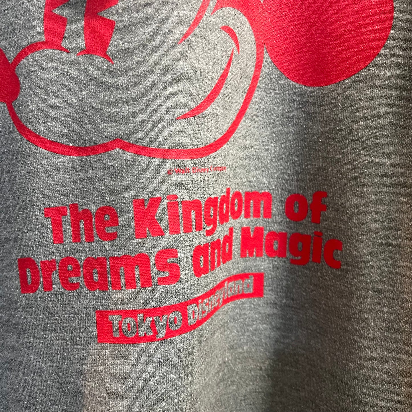 Vintage 1980's Tokyo Disneyland Walt Disney Company Minnie Mouse Pullover Hoodie - Size O/S -