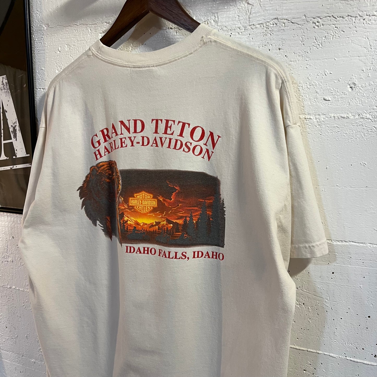 Vintage 2005 Harley Davidson 'Grand Teton' Idaho Falls, Idaho Graphic T-Shirt - Size XL - Made In USA - White