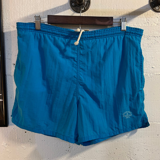 Vintage 90's Cheetah Sport Short/Swim Trunks - Size Small - Light Blue