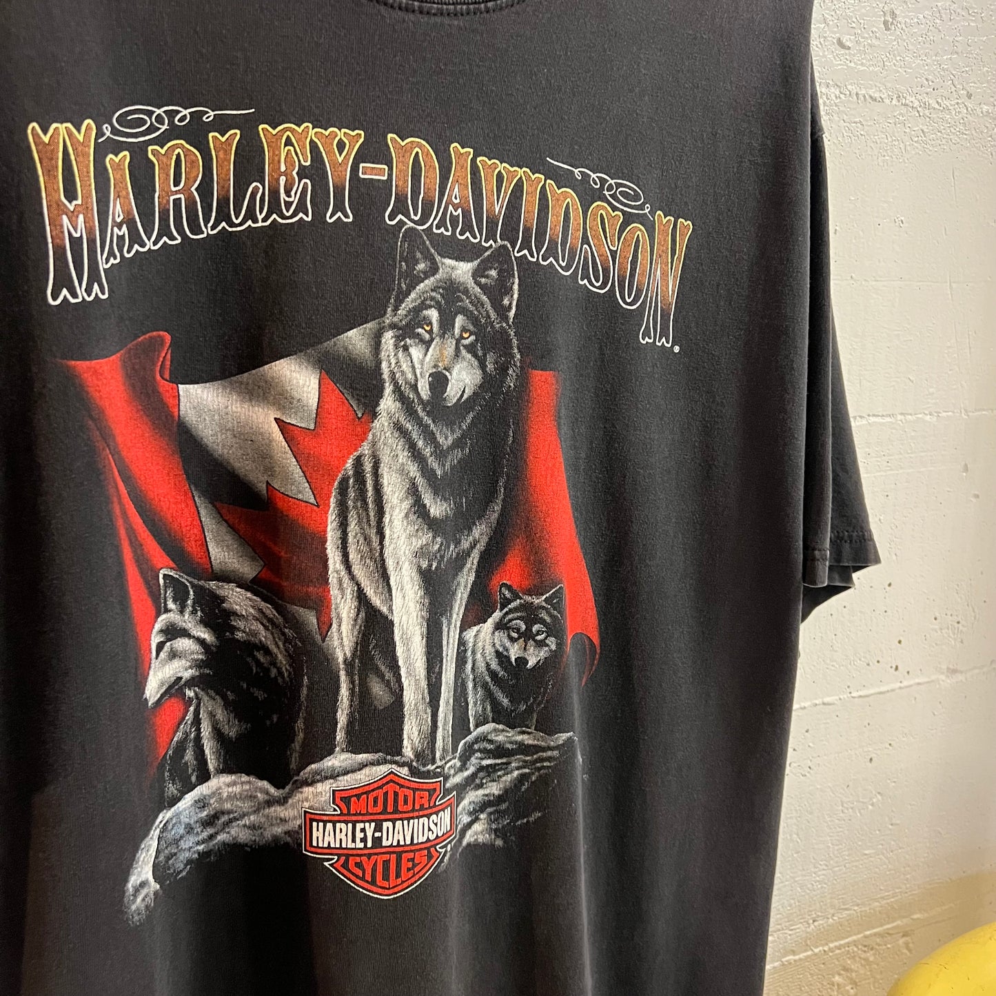 Vintage 2004 Harley Davidson British Columbia, Canada Wolf Graphic T-Shirt - Size XL - Made In Canada - Faded Black/Multi