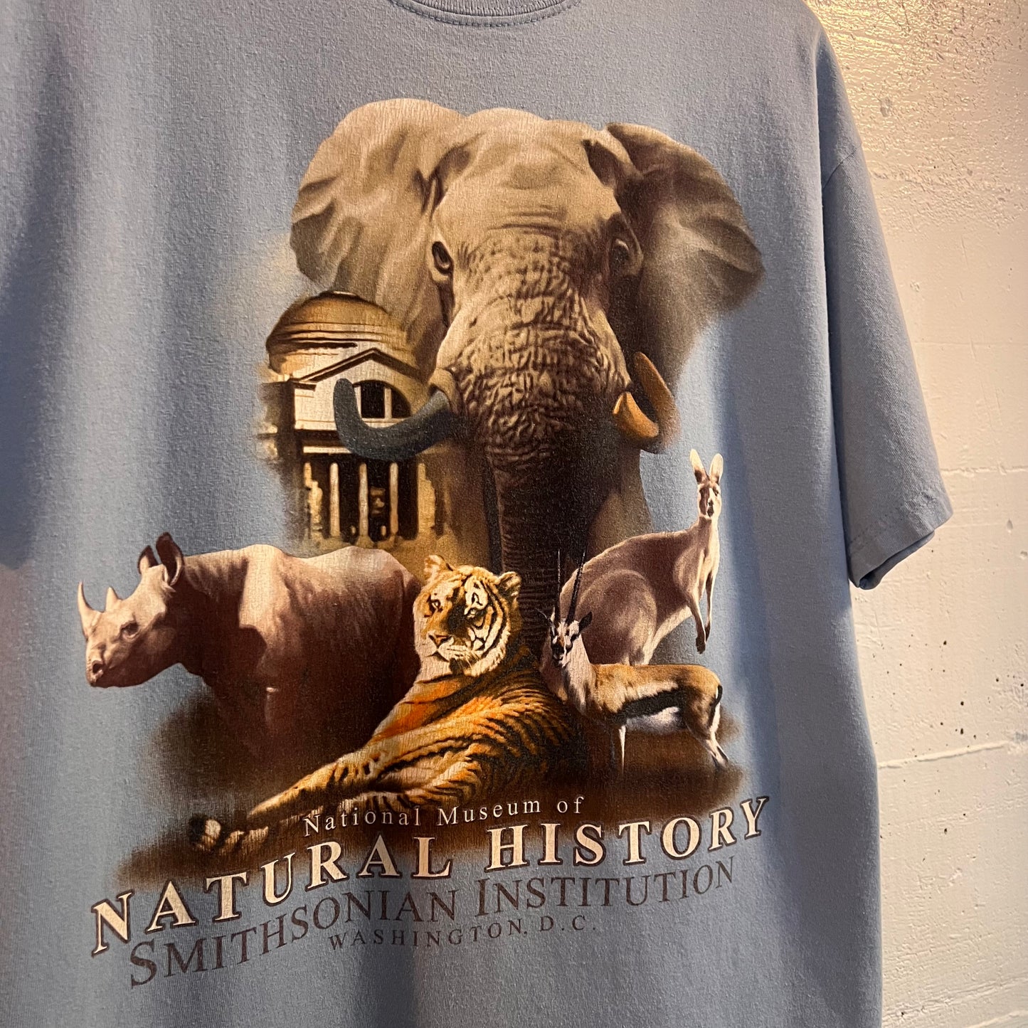 Vintage Smithsonian Institution Natural History Museum Animal T-Shirt - Size Large - Baby Blue