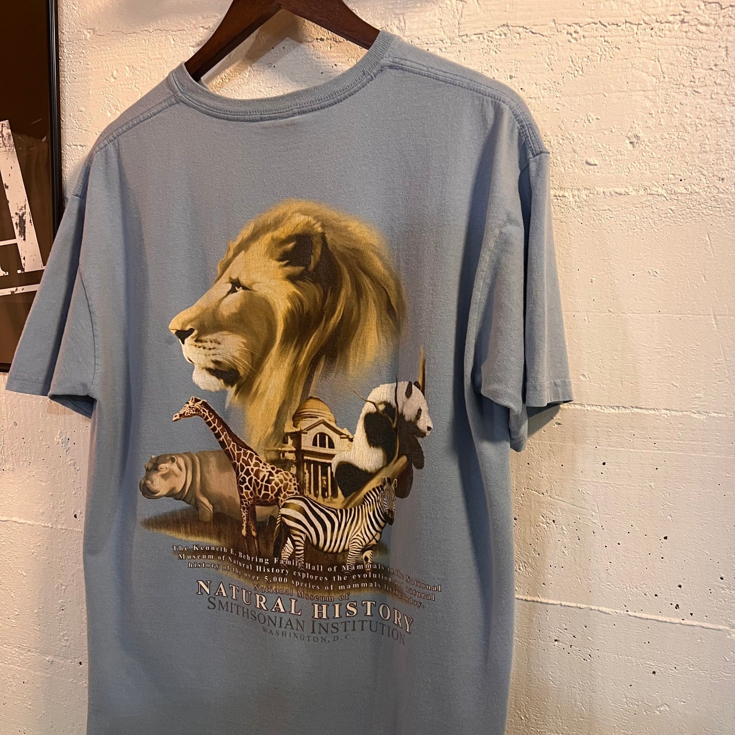 Vintage Smithsonian Institution Natural History Museum Animal T-Shirt - Size Large - Baby Blue