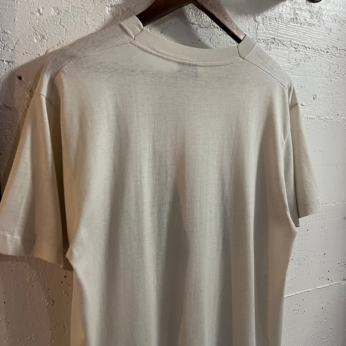 Vintage 90’s Distressed Indiana Landscape Single Stitch Graphic T-Shirt - Size Large - Made In USA - White/Multi