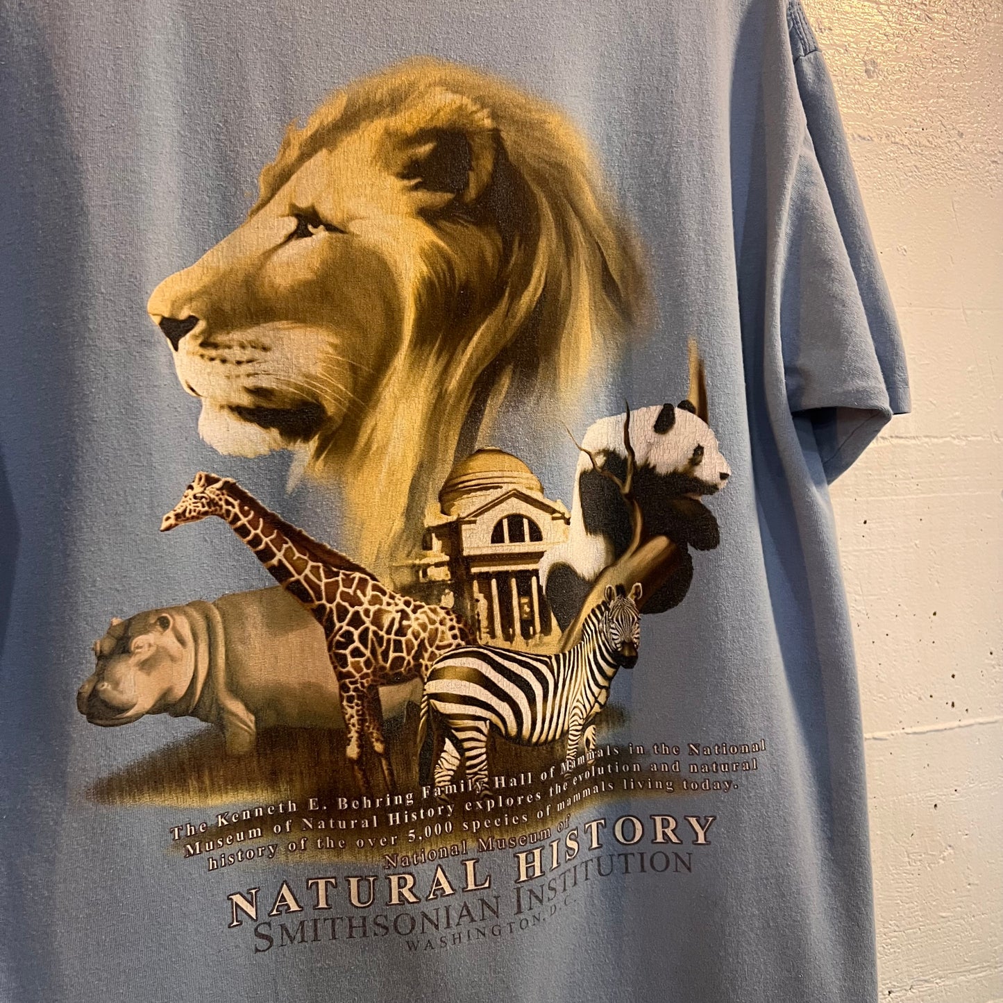 Vintage Smithsonian Institution Natural History Museum Animal T-Shirt - Size Large - Baby Blue