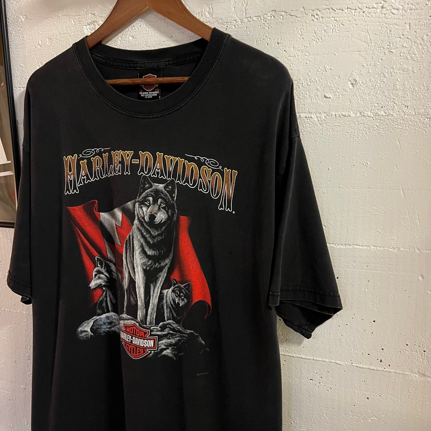 Vintage 2004 Harley Davidson British Columbia, Canada Wolf Graphic T-Shirt - Size XL - Made In Canada - Faded Black/Multi