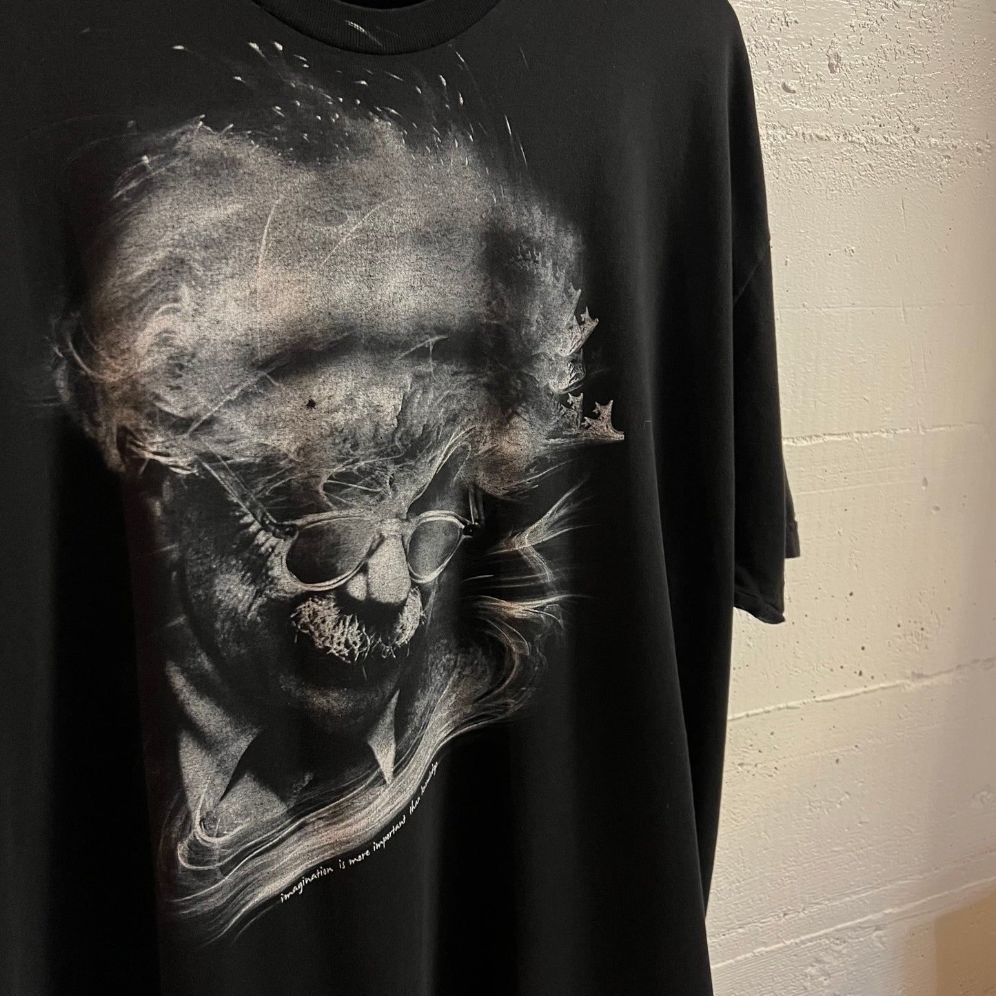Vintage 2000’s The Imaginary Foundation Albert Einstein Graphic T-Shirt - Size XXL - Made In USA - Black/White