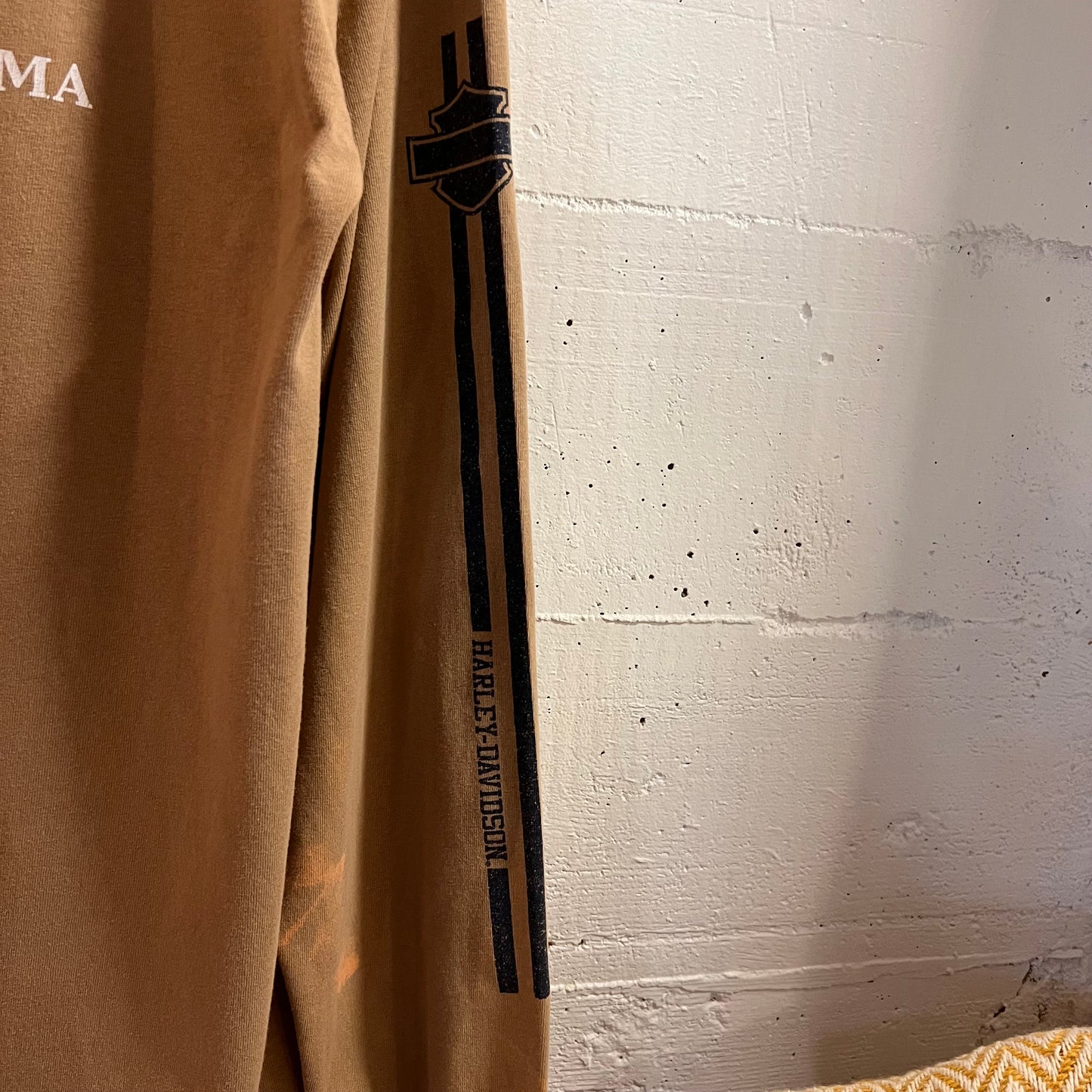 Vintage 2004 Harley Davidson ‘Riders’ Birmingham, Alabama Long Sleeve T-Shirt - Size Large - Tan/Grey