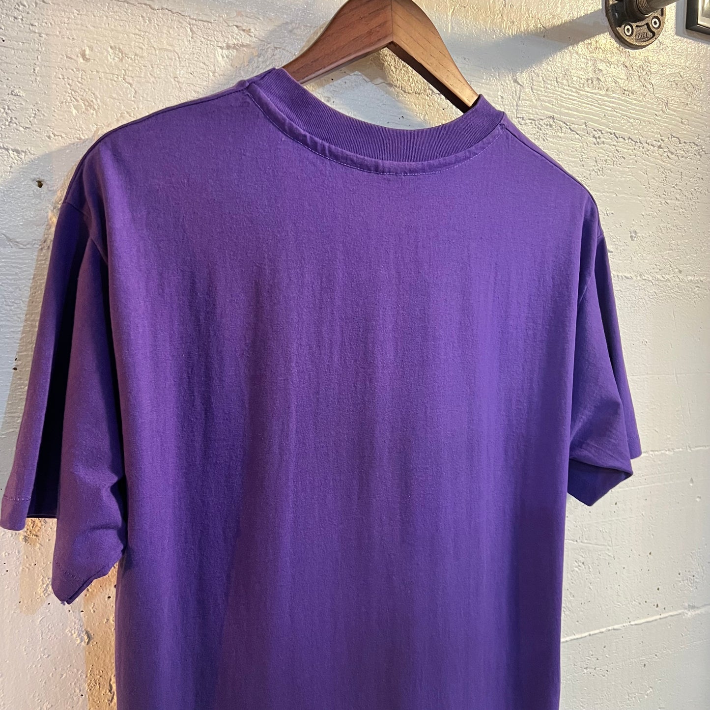 Vintage 80’s Hummingbird Washington Single Stitch T-Shirt - Size Large - Made In USA - Purple