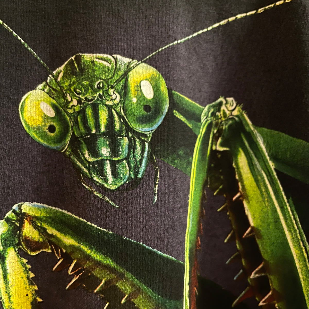 Vintage 90's Butterfly Pavilion Praying Mantis Big Graphic Single Stitch T-Shirt - Size Youth Large - Made In USA