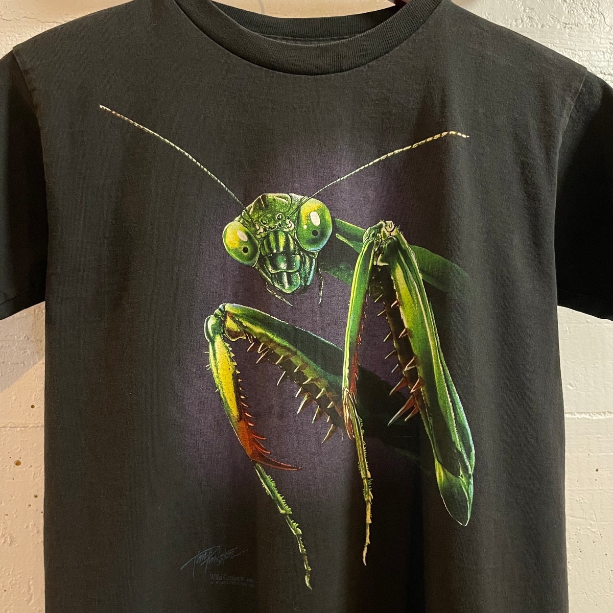 Vintage 90's Butterfly Pavilion Praying Mantis Big Graphic Single Stitch T-Shirt - Size Youth Large - Made In USA