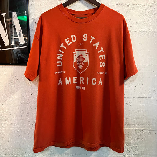 Nike ACG 'All Conditions Gear' U.S.A. Bison Heavy Cotton Loose Fit T-Shirt - Size XL - Brick Red