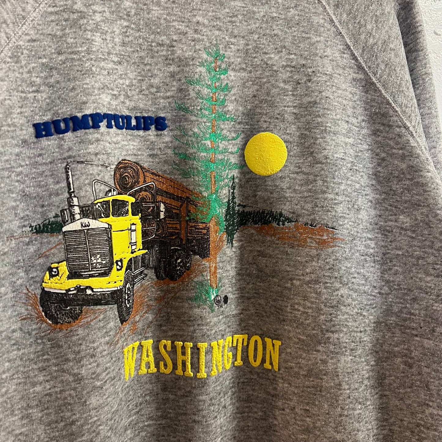 Vintage 80’s Humptulips, Washington Puff Print Raglan Sleeve Crewneck Sweatshirt - Size XL - Made In USA - Heather Grey/Multi