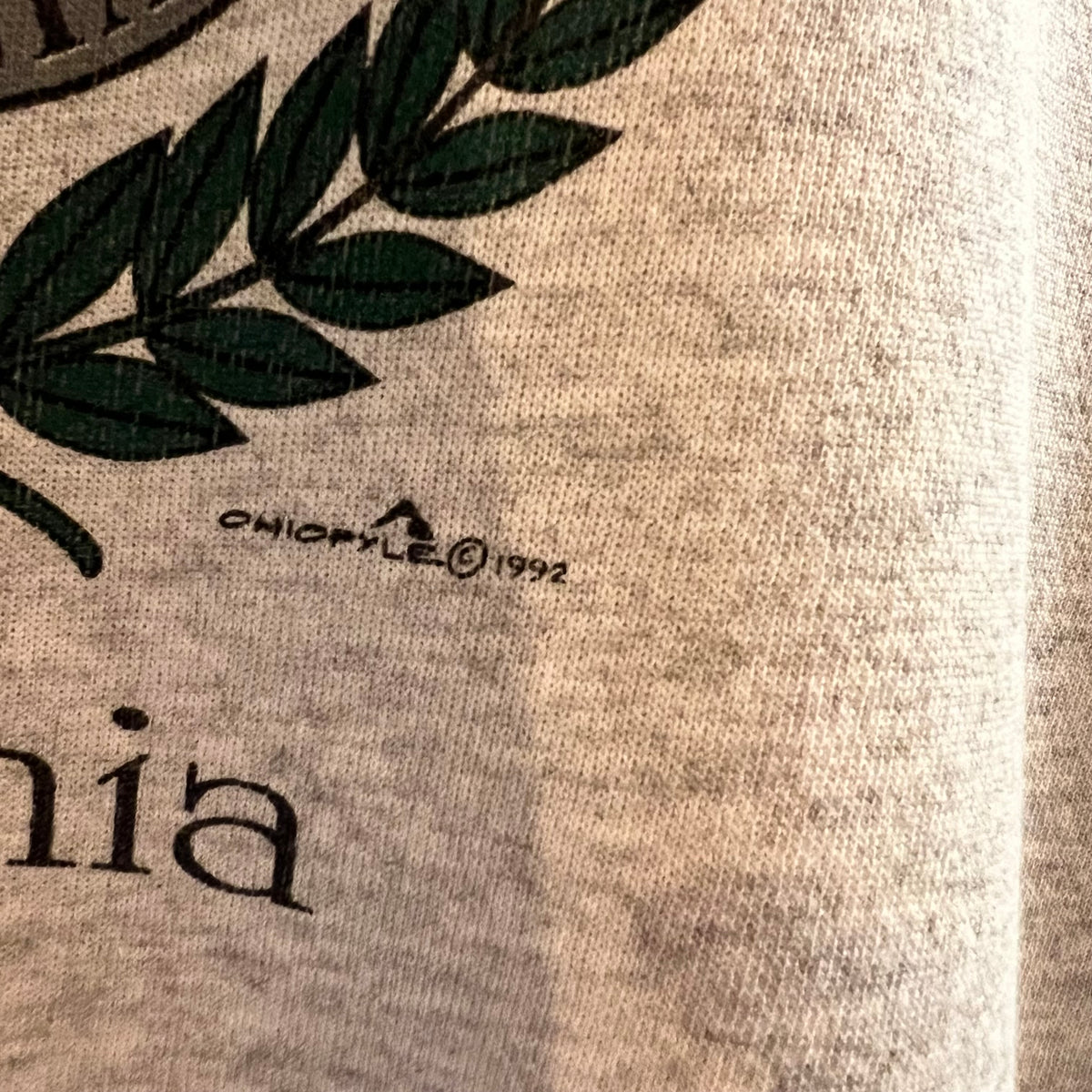 Vintage 1992 Lake Monticello, Virginia Raglan Sleeve Crewneck Sweatshirt - Size Medium - Made In USA - Heather Grey/Red/Multi
