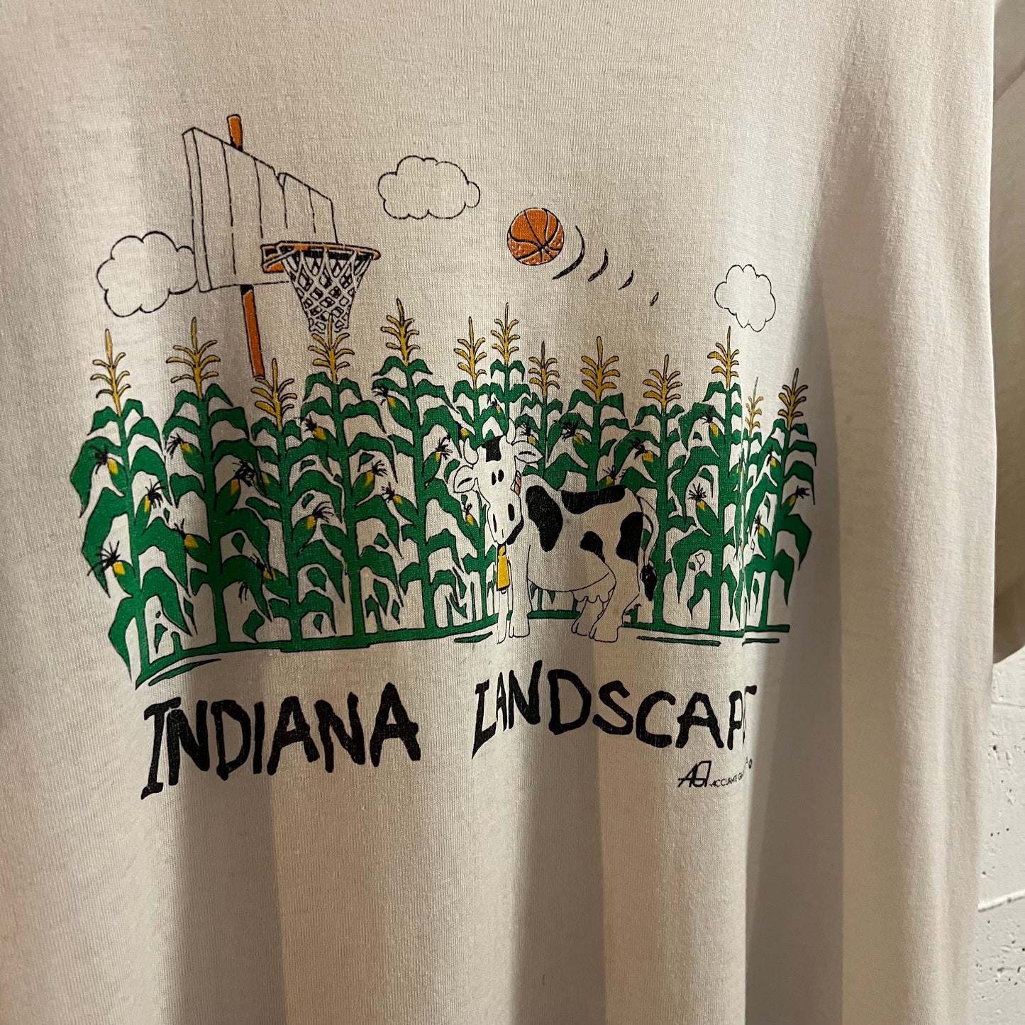 Vintage 90’s Distressed Indiana Landscape Single Stitch Graphic T-Shirt - Size Large - Made In USA - White/Multi