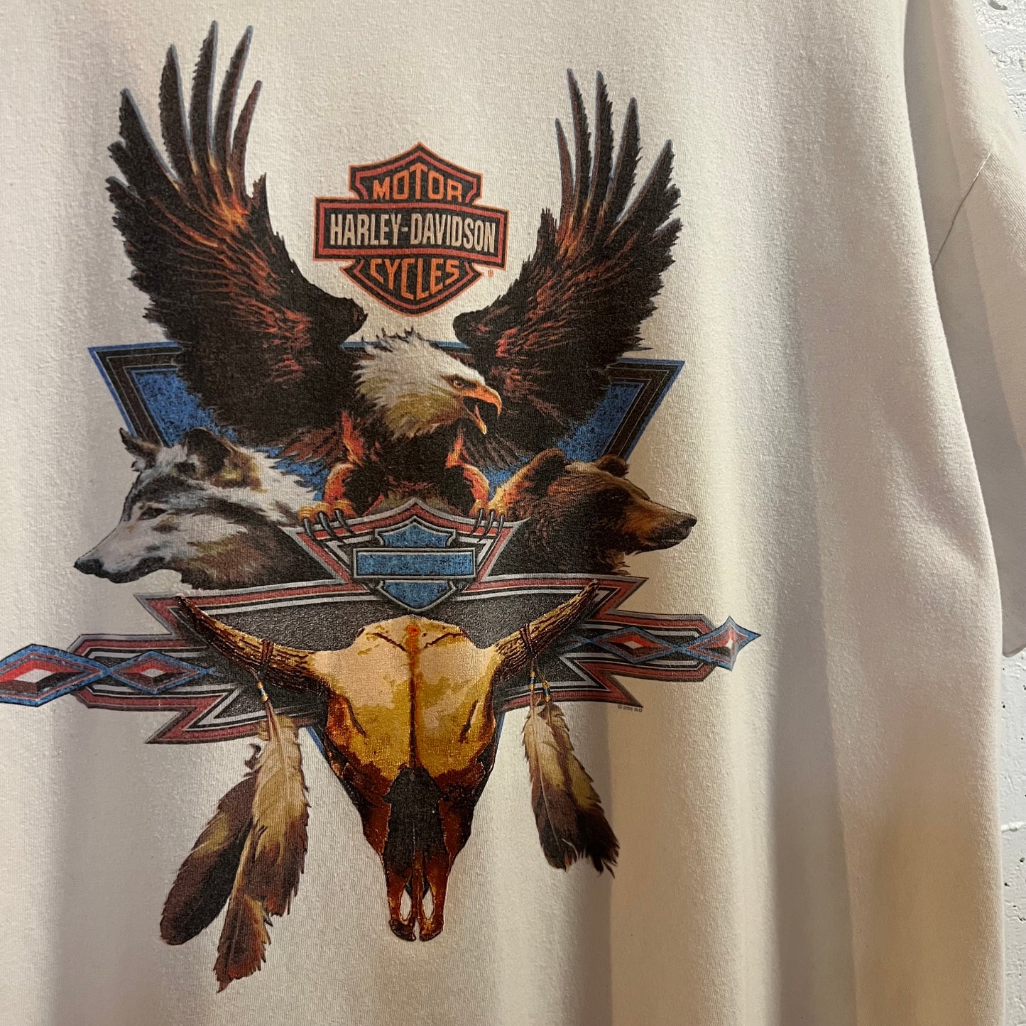 Vintage 2005 Harley Davidson 'Grand Teton' Idaho Falls, Idaho Graphic T-Shirt - Size XL - Made In USA - White